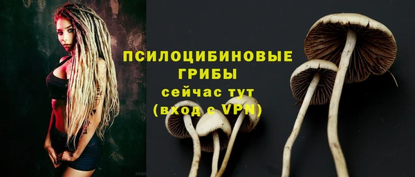 амф Алексеевка