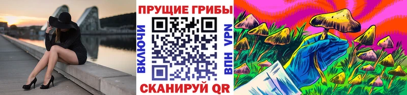mega зеркало  Верхоянск  Псилоцибиновые грибы Psilocybine cubensis 